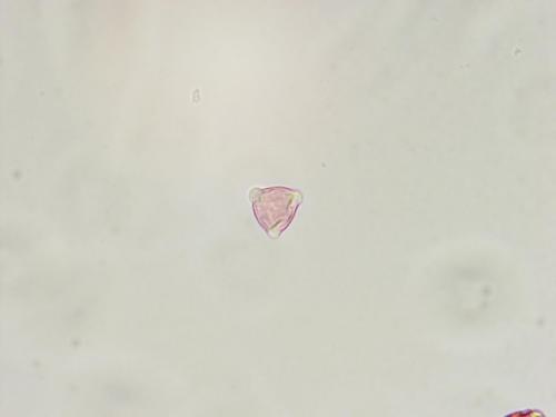 A 09
