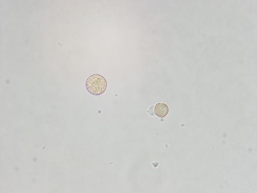 B 03