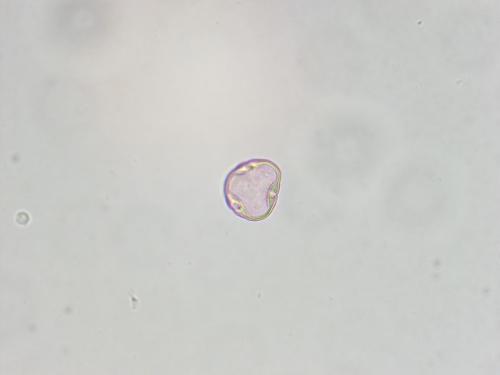 B 04