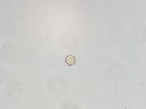 B 08